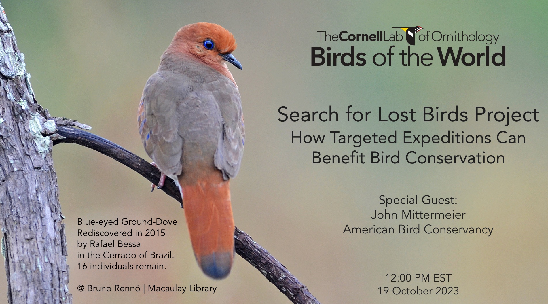 Webinar-the Search for Lost Birds cover slide